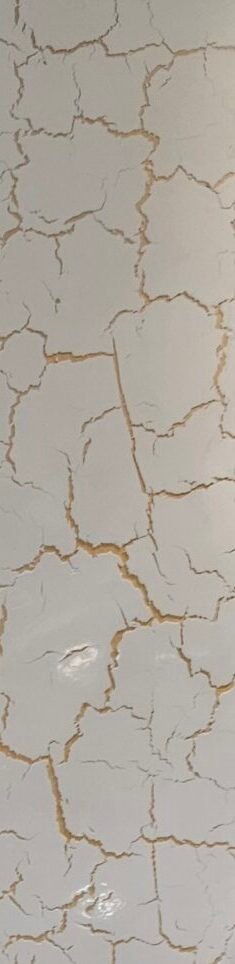 20260408_105527
